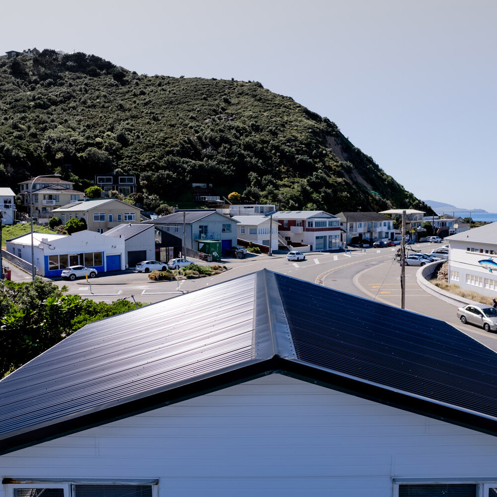 Close up shot of a rood in Island Bay